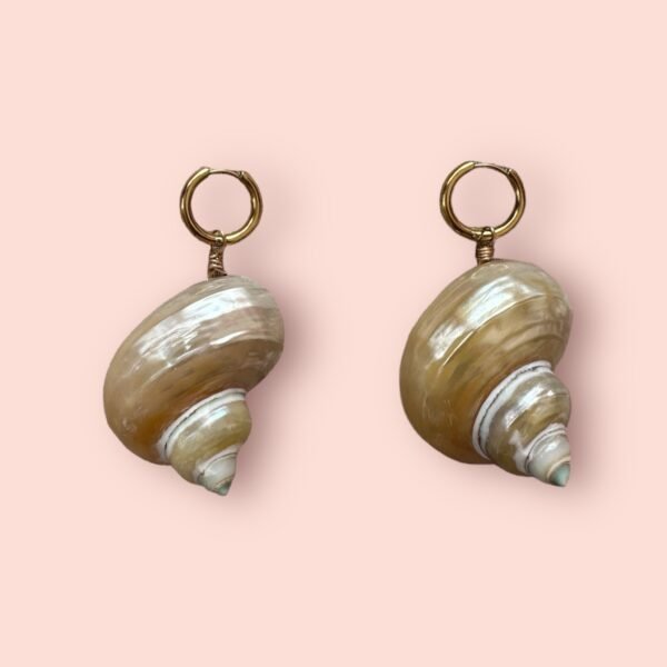 Shell la Vie
