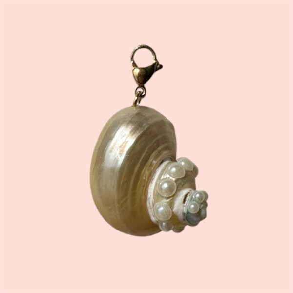 Shell & Pearl amore