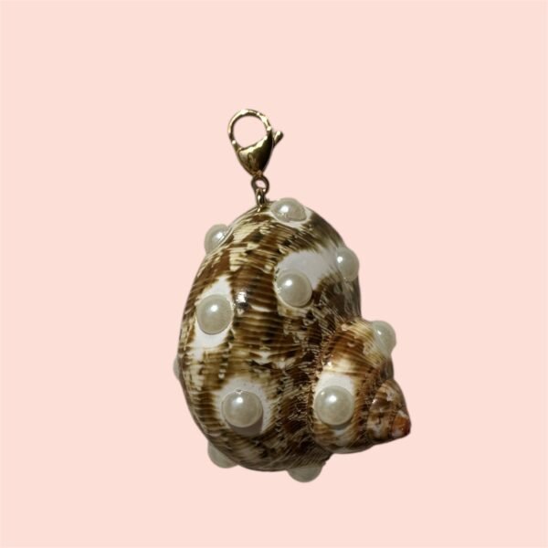 Mexican shell