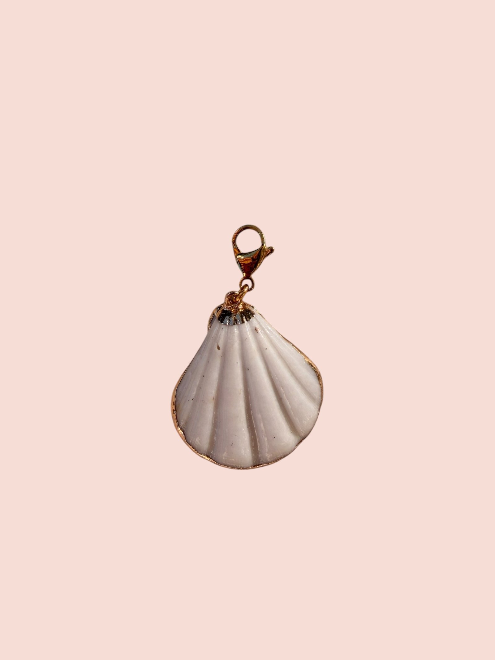 Nusa Shell