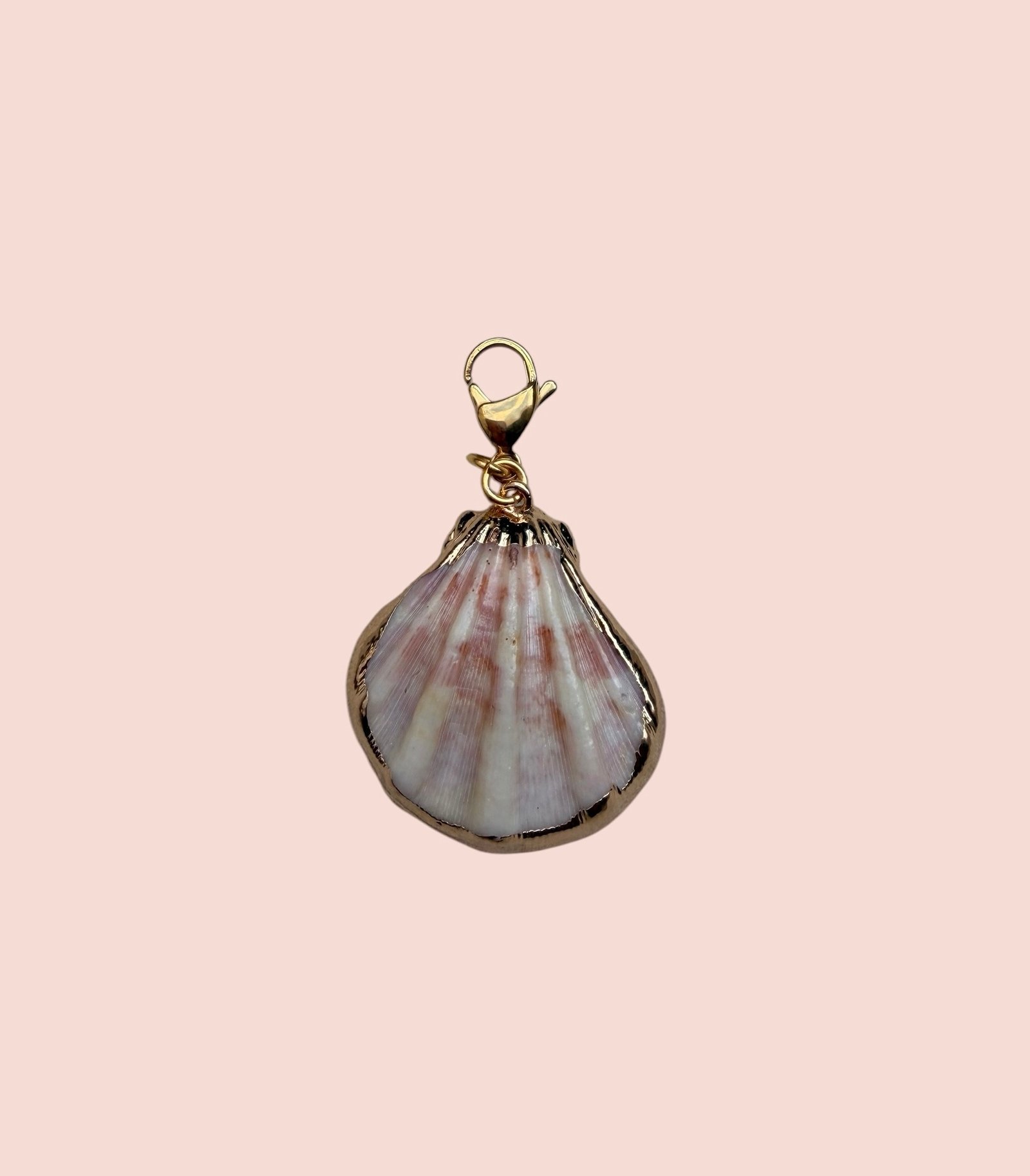 Gia Shell - Afbeelding 4