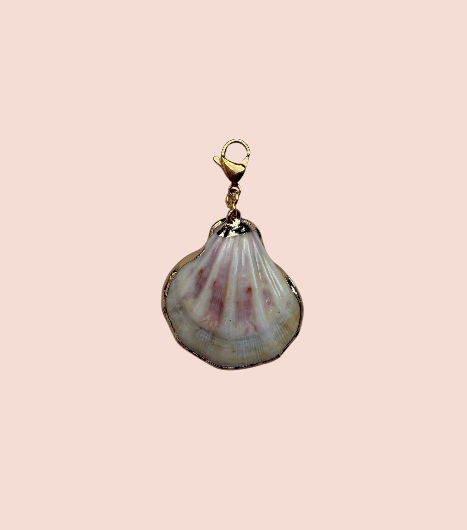 Gia Shell